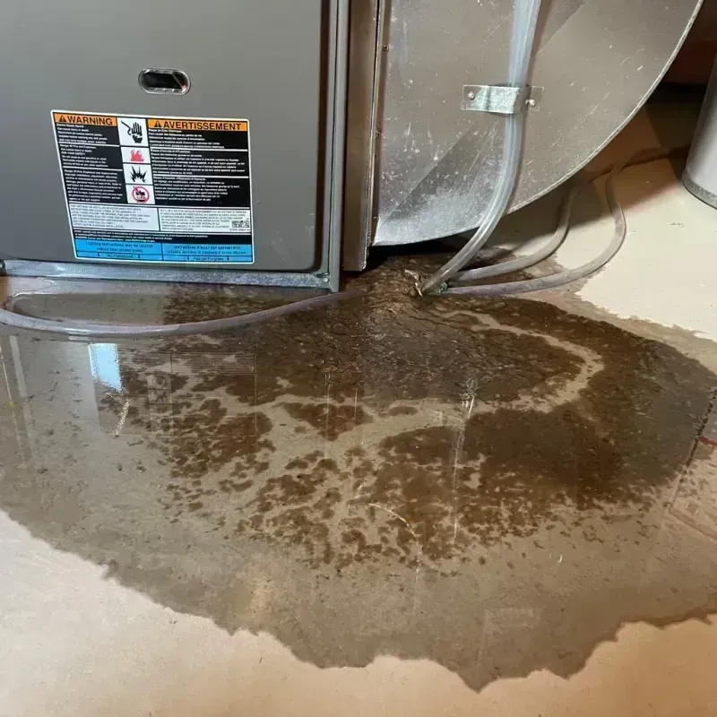 Appliance Leak Cleanup in Centerville, MO